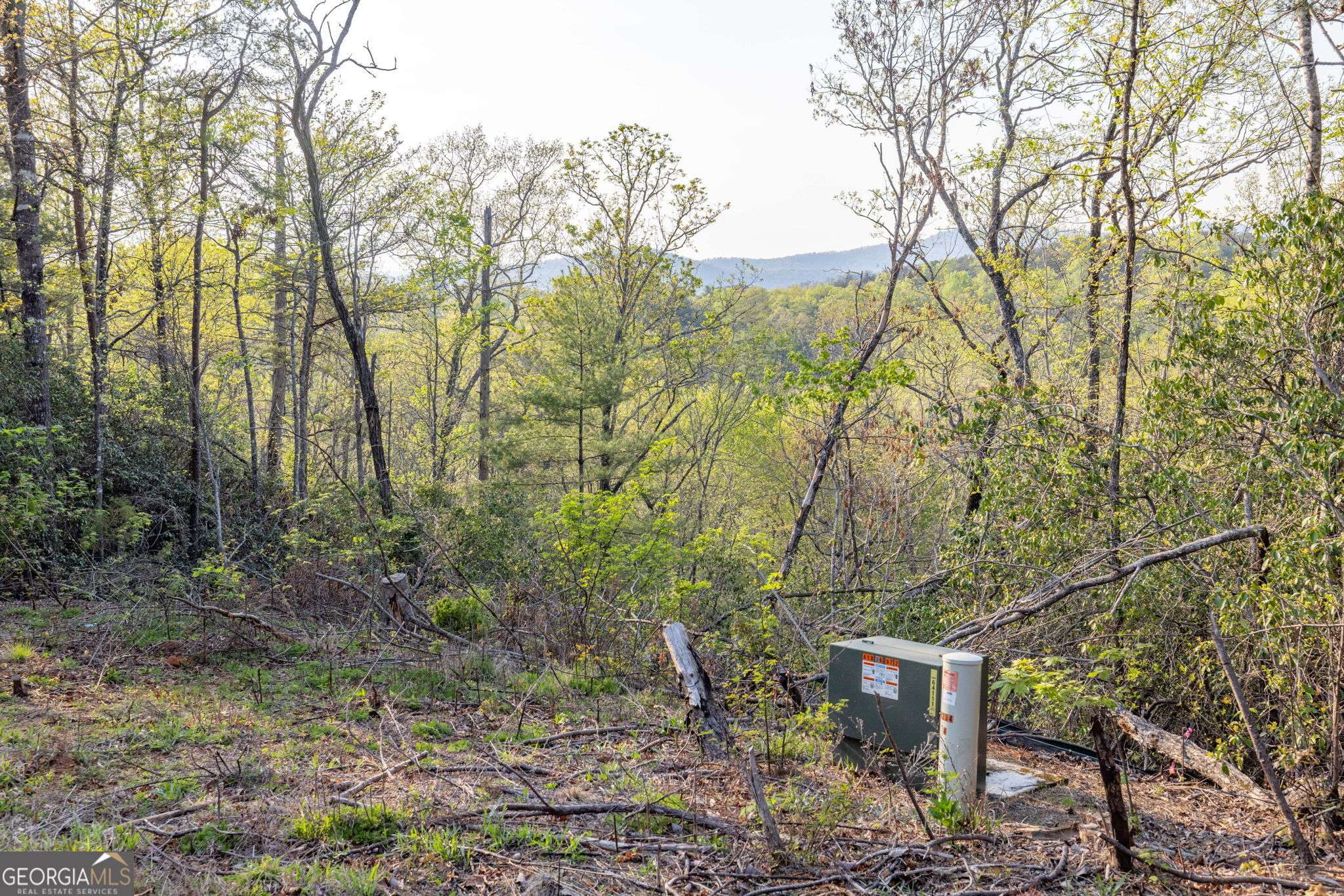 Sautee Nacoochee, GA 30571,0 Mountain Lion TRL #LOT 40D