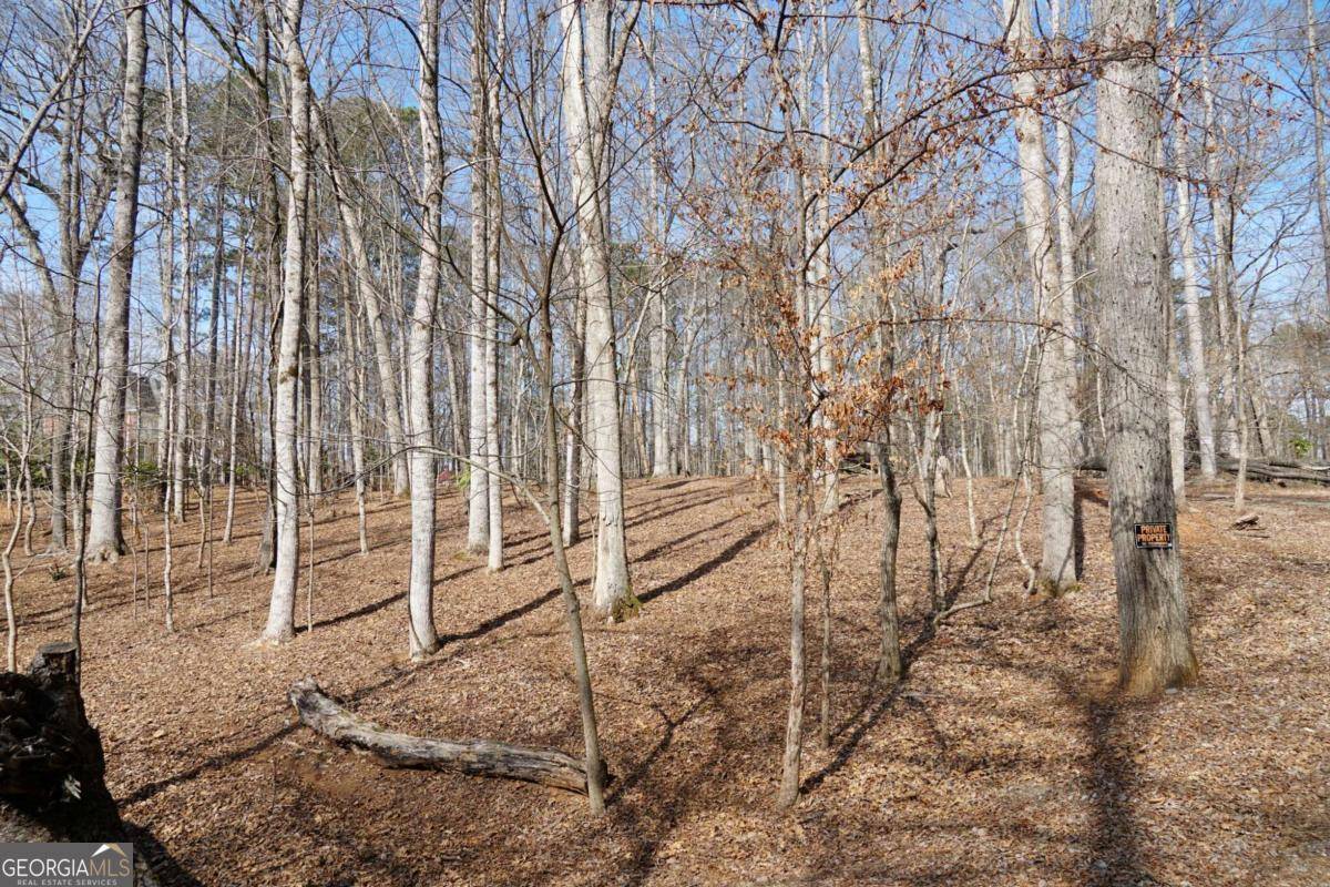 Peachtree Corners, GA 30092,0 Hawk Run