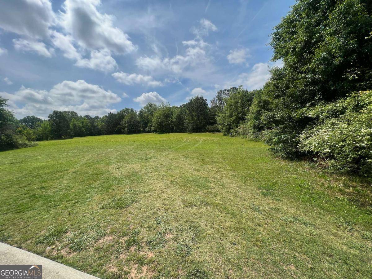 Mcdonough, GA 30253,156 Orchard Park DR