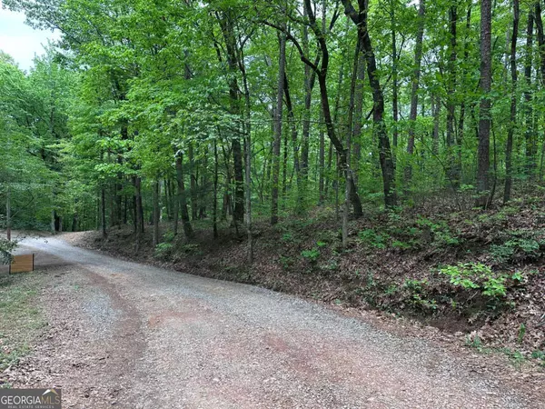 TR1TR3 Flat Branch TRL, Ellijay, GA 30540