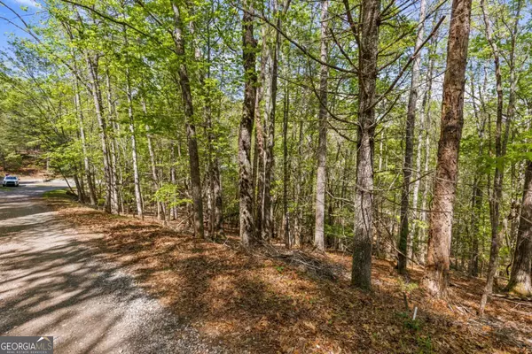 Blue Ridge, GA 30513,.75 ACRE Chinkapin DR