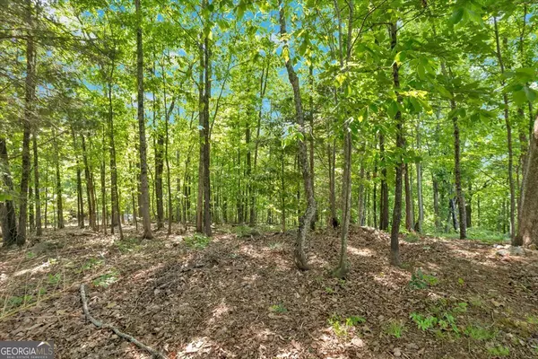 Silver Creek, GA 30173,LOT 54 Ridgeview DR SE