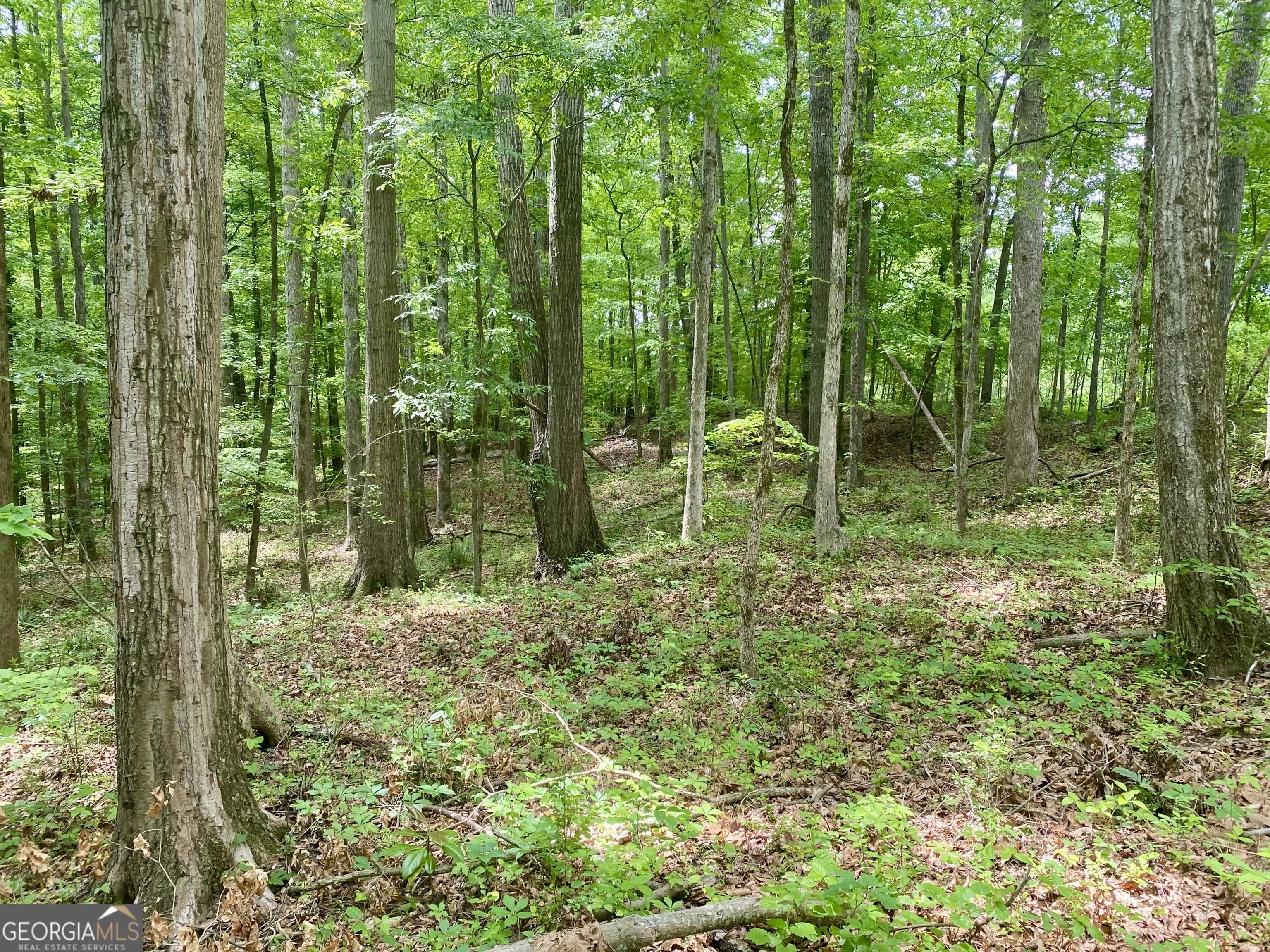 Watkinsville, GA 30677,1010 Bridlegate DR #25