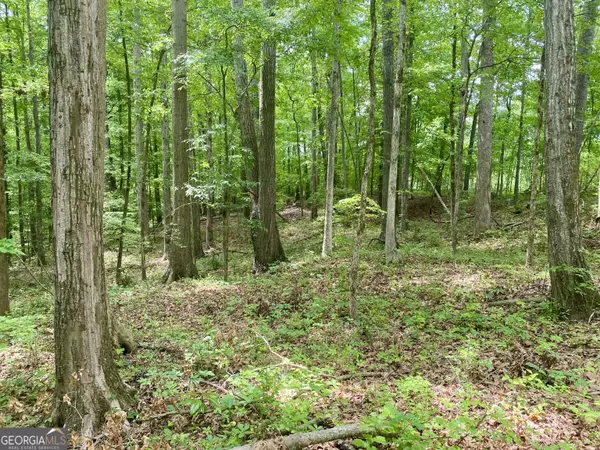 Watkinsville, GA 30677,1010 Bridlegate DR #25