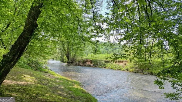 Ellijay, GA 30540,317 River Escape DR