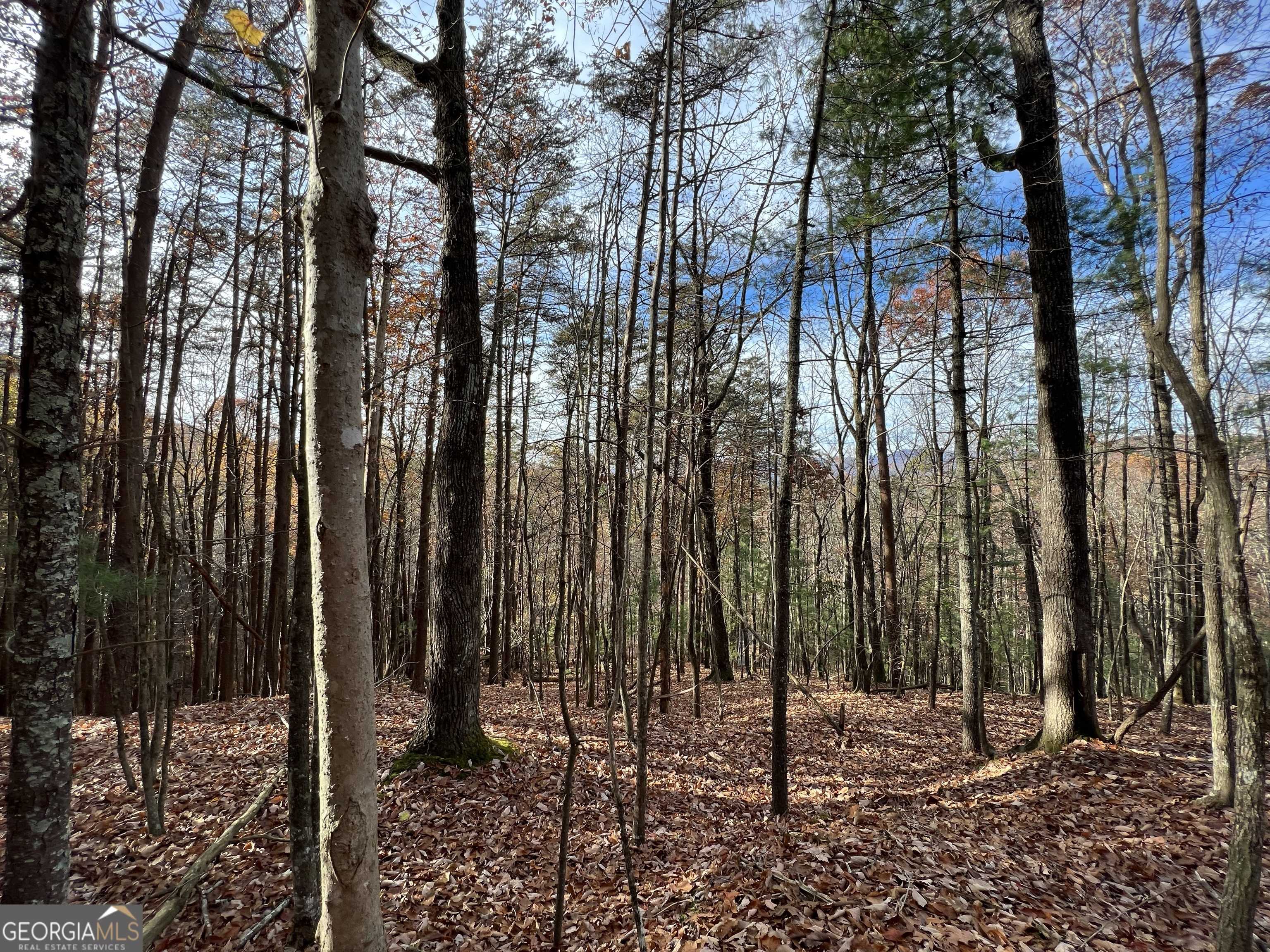 Ellijay, GA 30536,J-214 Walnut Mountain RD
