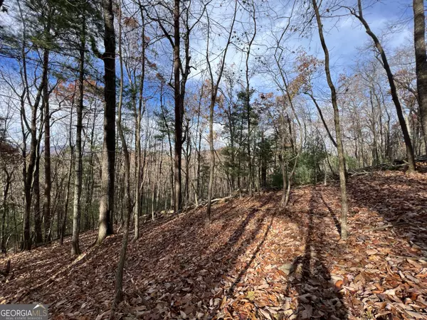Ellijay, GA 30536,J-214 Walnut Mountain RD