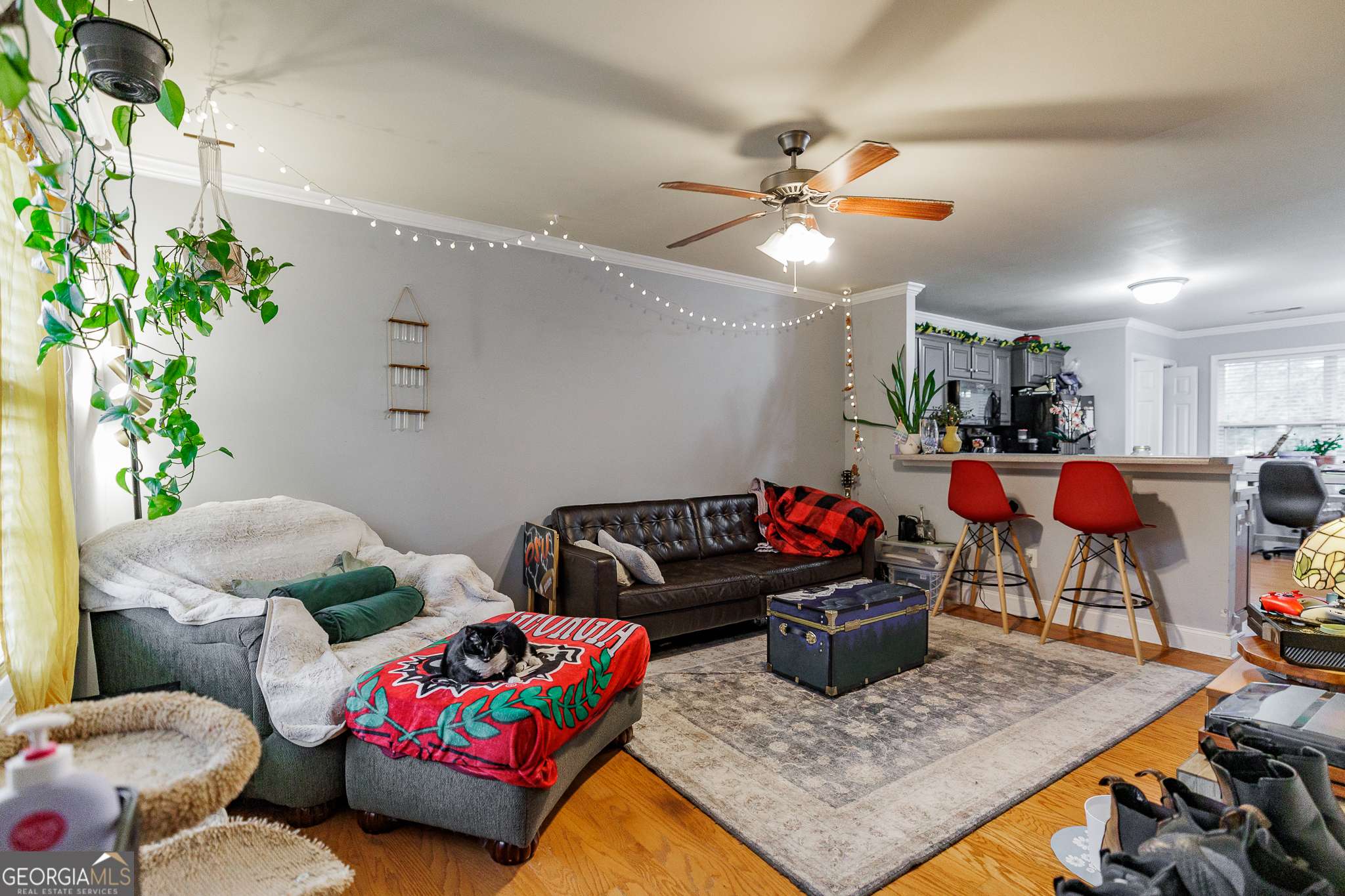 Athens, GA 30606,105 Whitehead RD #23