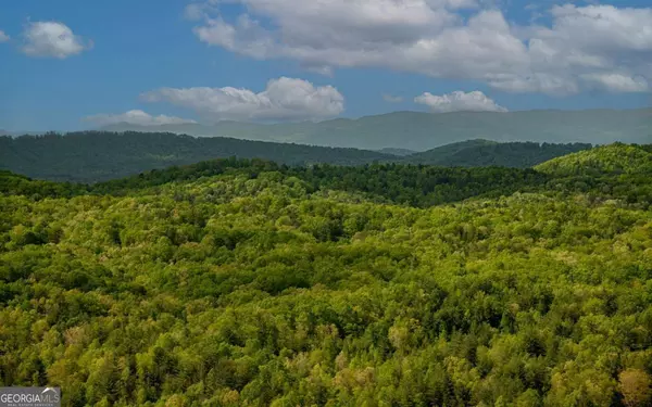 Morganton, GA 30560,LOT 25 Scouts Overlook