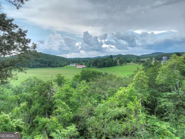 Blue Ridge, GA 30513,418 Windy TRL