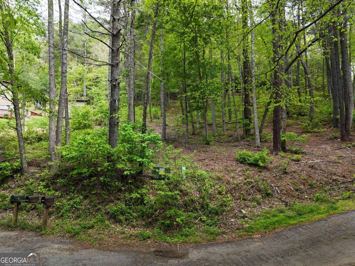 Hiawassee, GA 30546,TRACT 3C Riverside DR