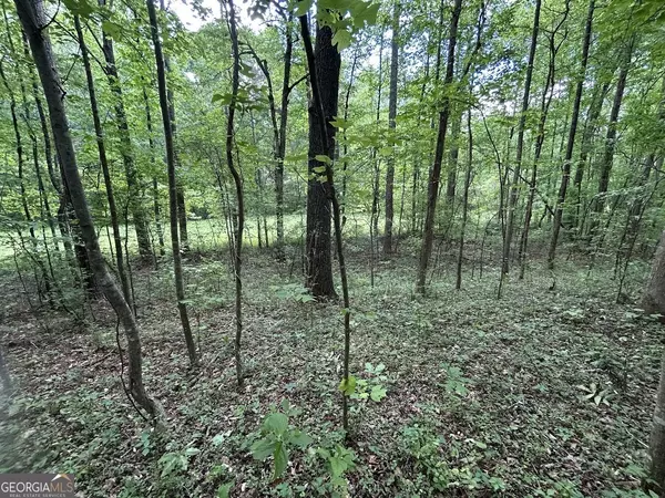 Carrollton, GA 30117,0 Hog Liver RD