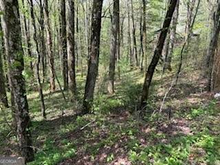 Sky Valley, GA 30537,0 Bald Mountain RD