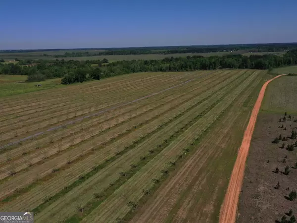 Hawkinsville, GA 31036,302 E Flournoy Road