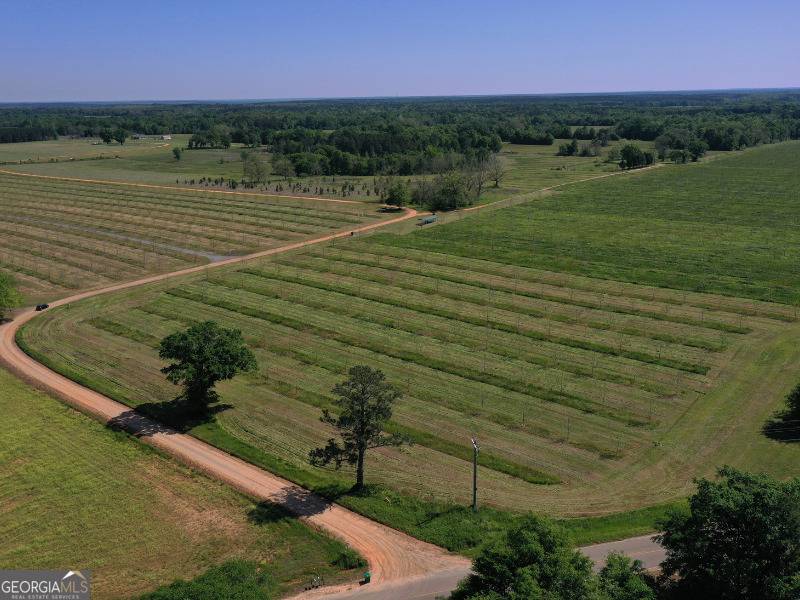 Hawkinsville, GA 31036,302 E Flournoy Road