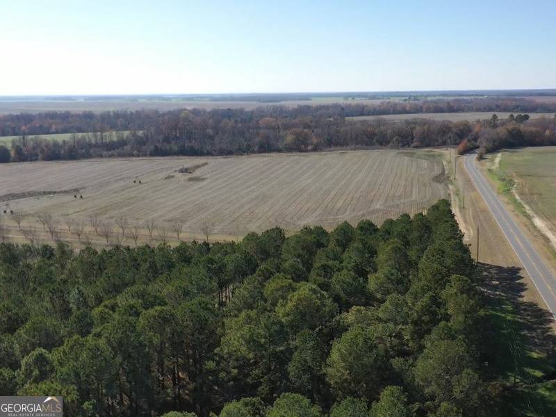 Montezuma, GA 31063,9198 Highway 224