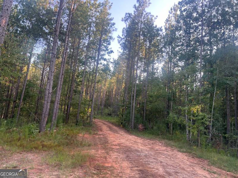 Roberta, GA 31078,0 Charles Reeves Road