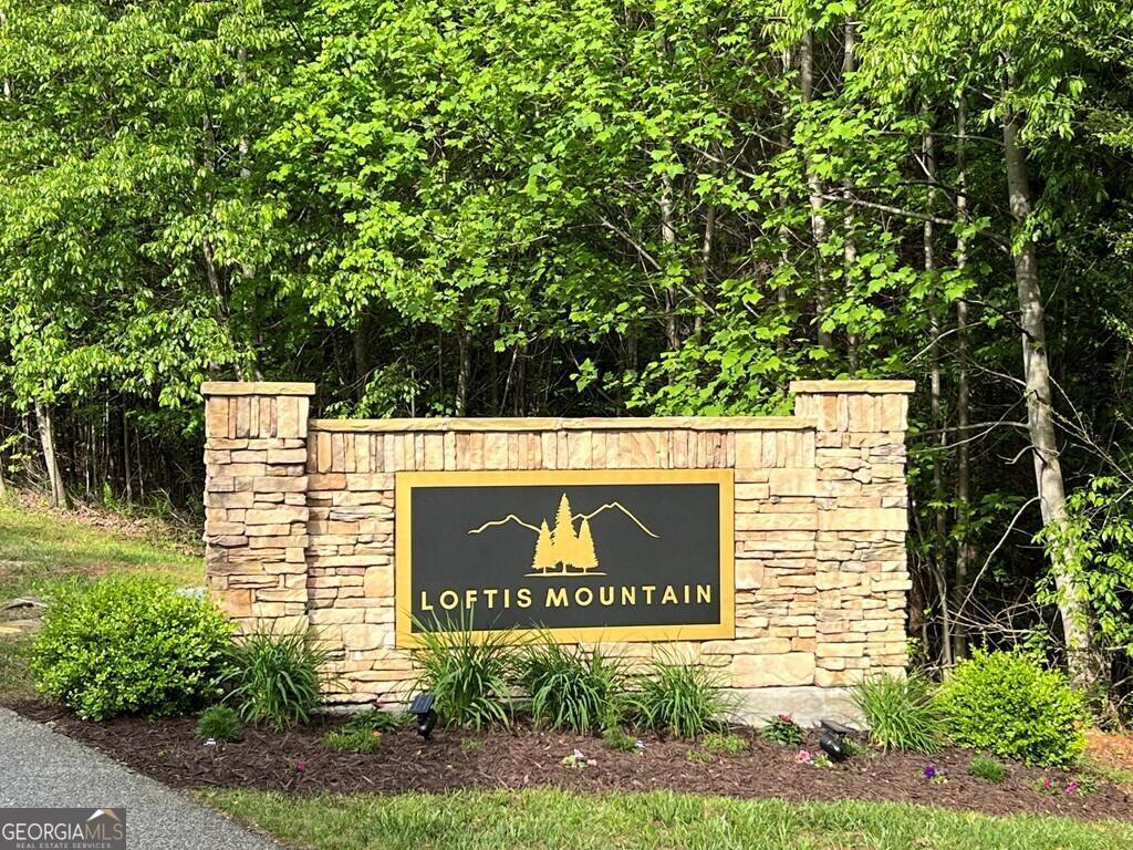 Blairsville, GA 30512,LOT 25 Loftis Mountain
