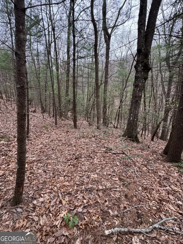 Ellijay, GA 30536,LOT 84 Baltusrol RUN