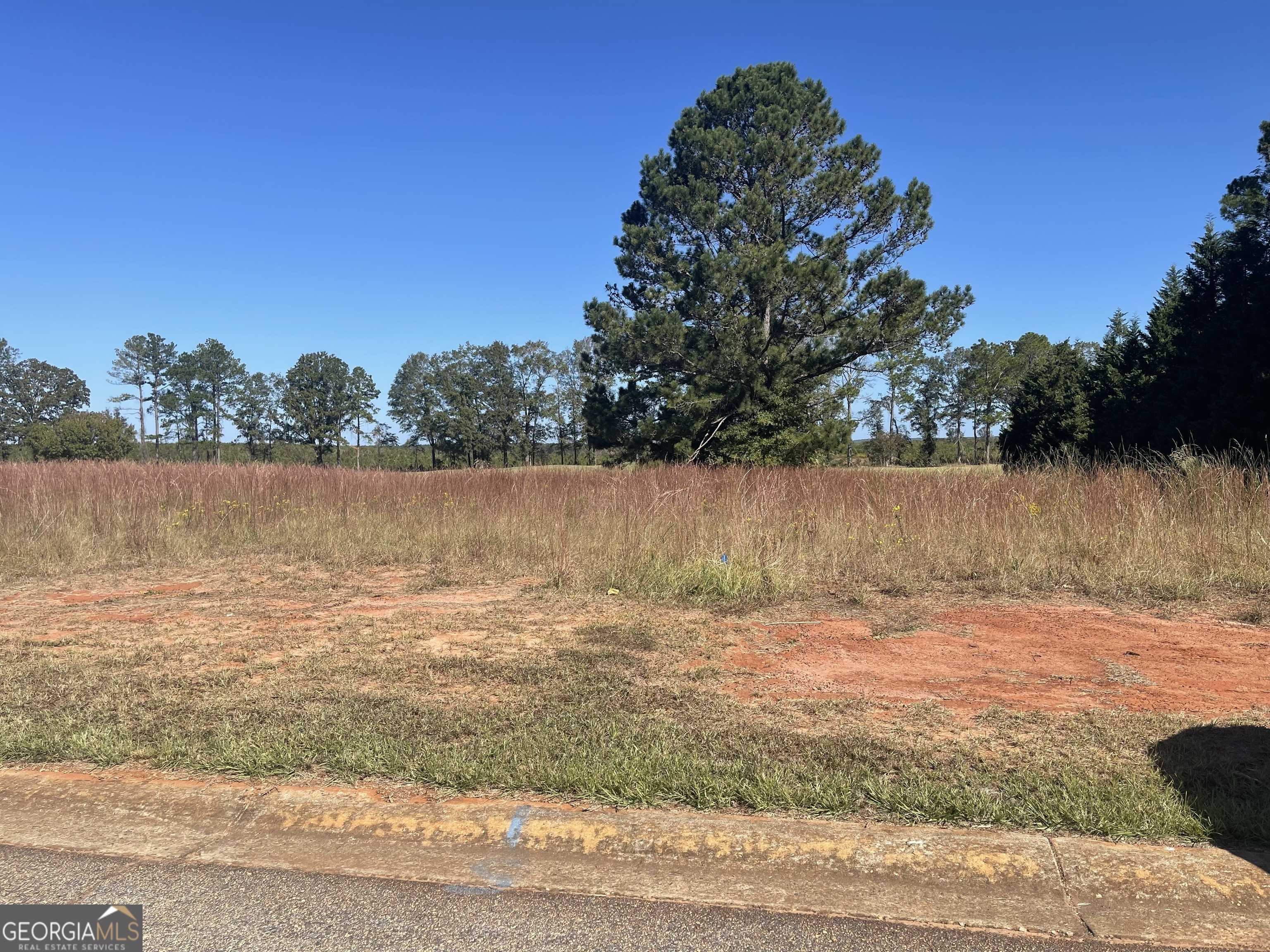 Hawkinsville, GA 31036,41 Crabapple DR