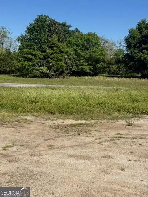 Pineview, GA 31071,0 Georgia 257 Lot 9