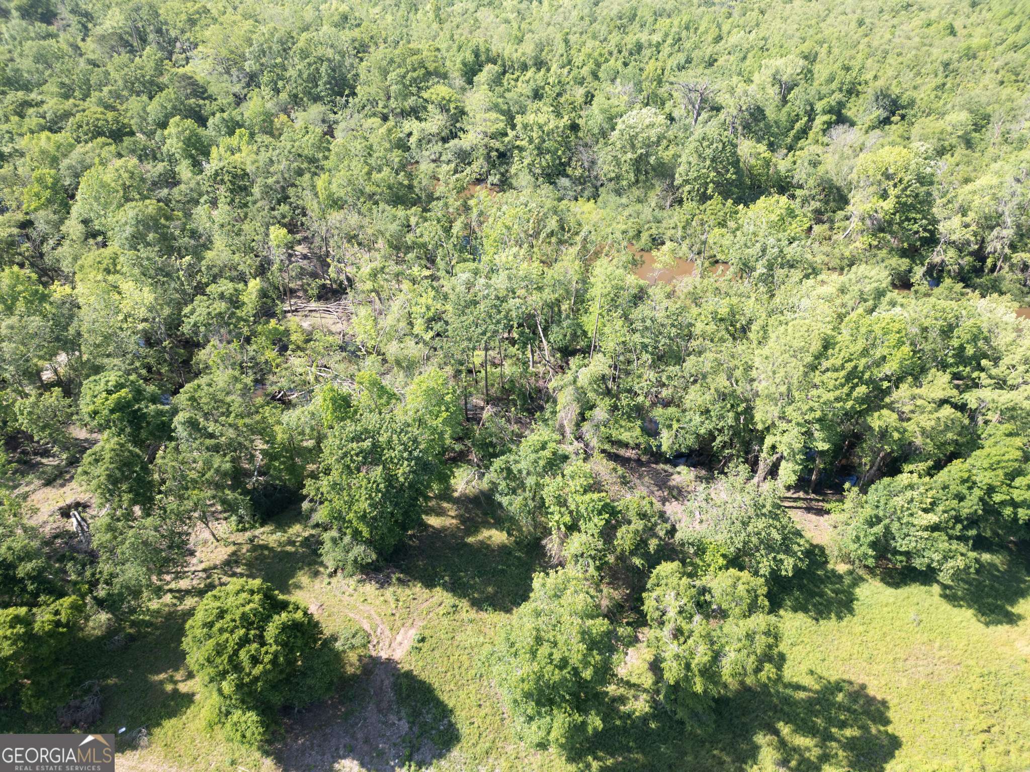 Midville, GA 30441,LOT 20 The River LNDG