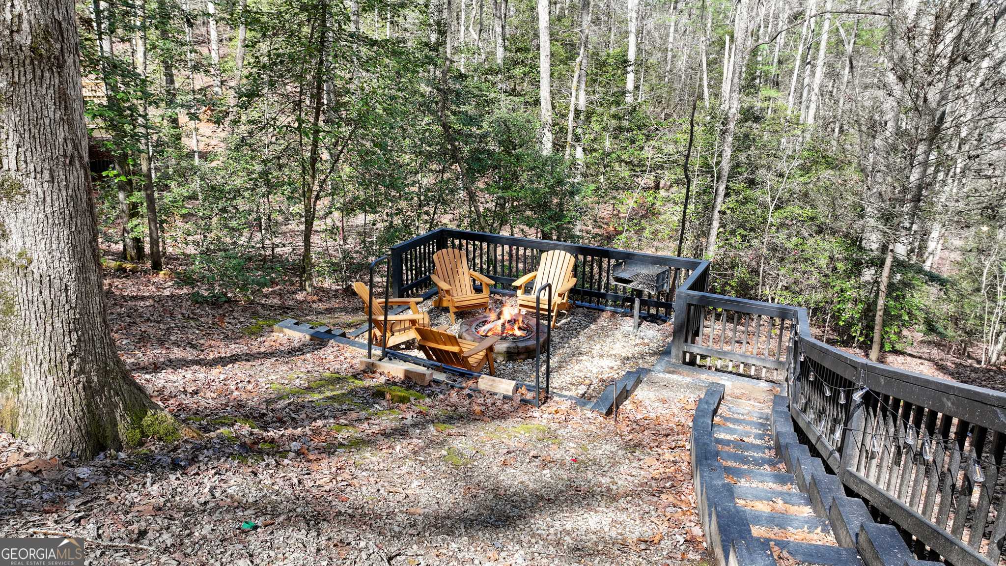 Blue Ridge, GA 30513,222 Icy LN