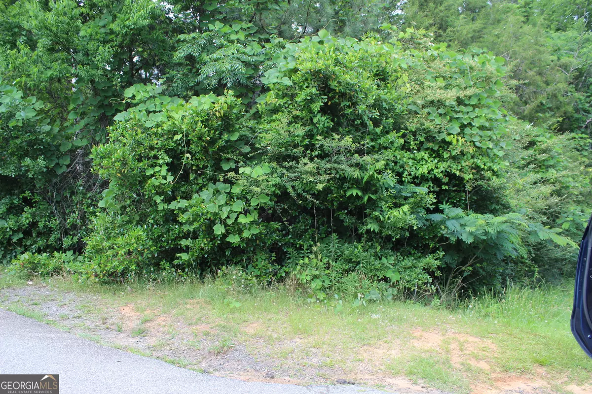 Lumpkin, GA 31815,0 Liberty DR