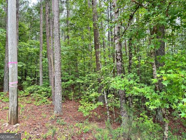 131 Ext Johnson RD, Locust Grove, GA 30248