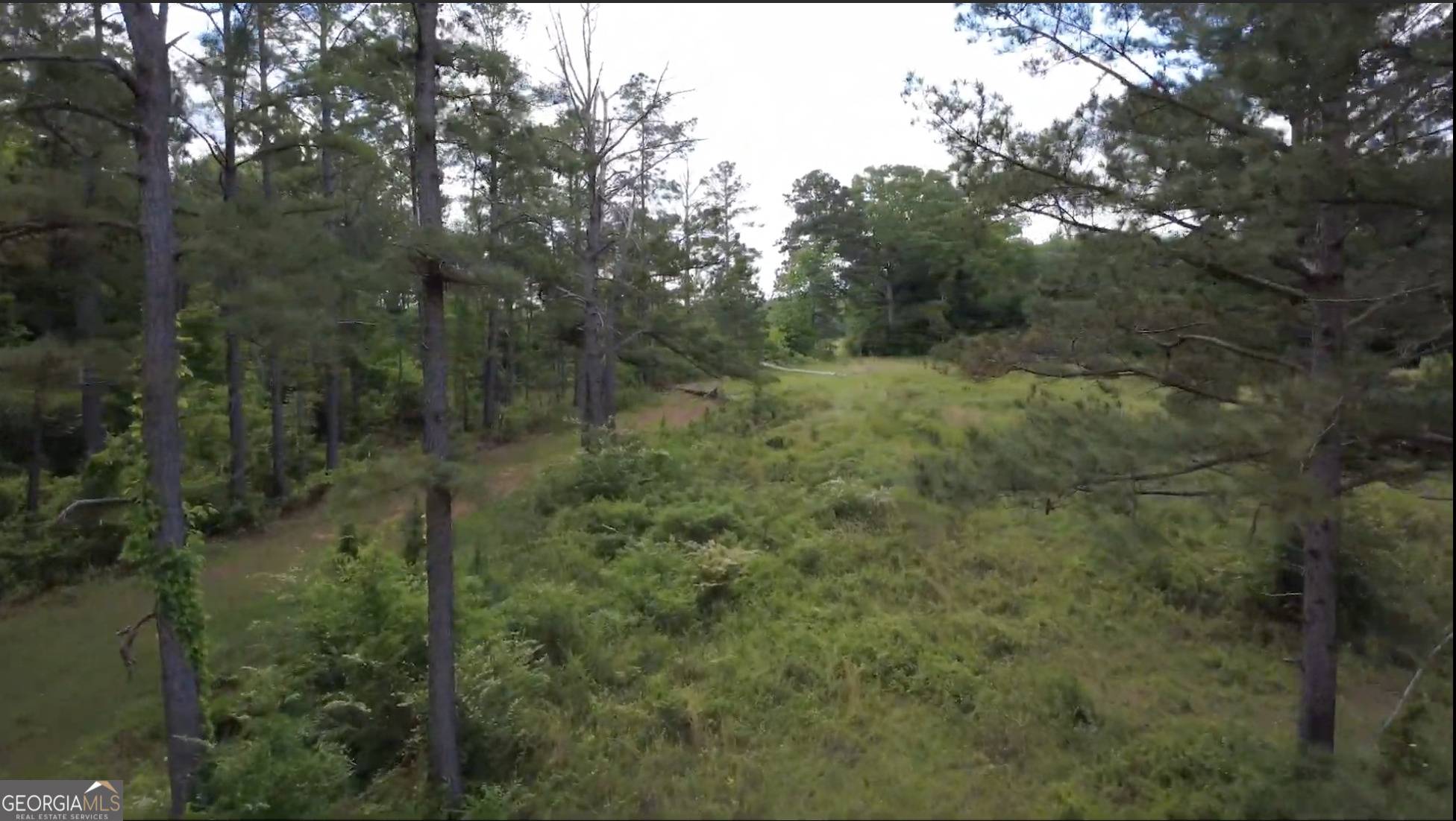 Cuthbert, GA 39840,0 District Line Road