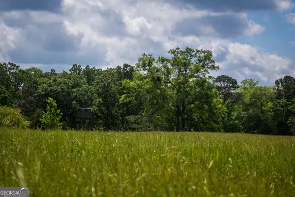 Cuthbert, GA 39840,0 District Line RD