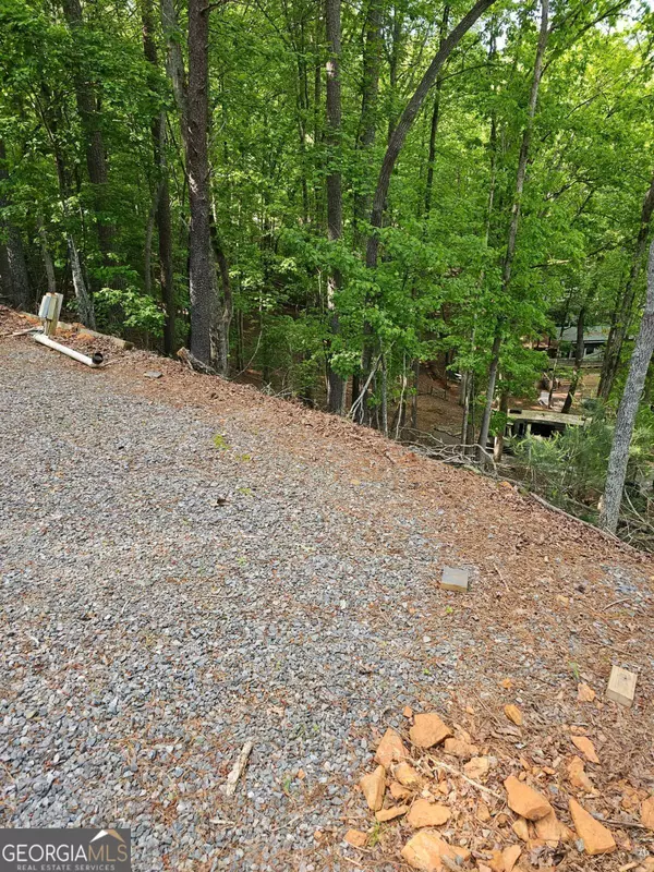 Ellijay, GA 30540,133 32Nd ST #C618