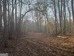 Molena, GA 30258,000  (948) Smyrna Church RD