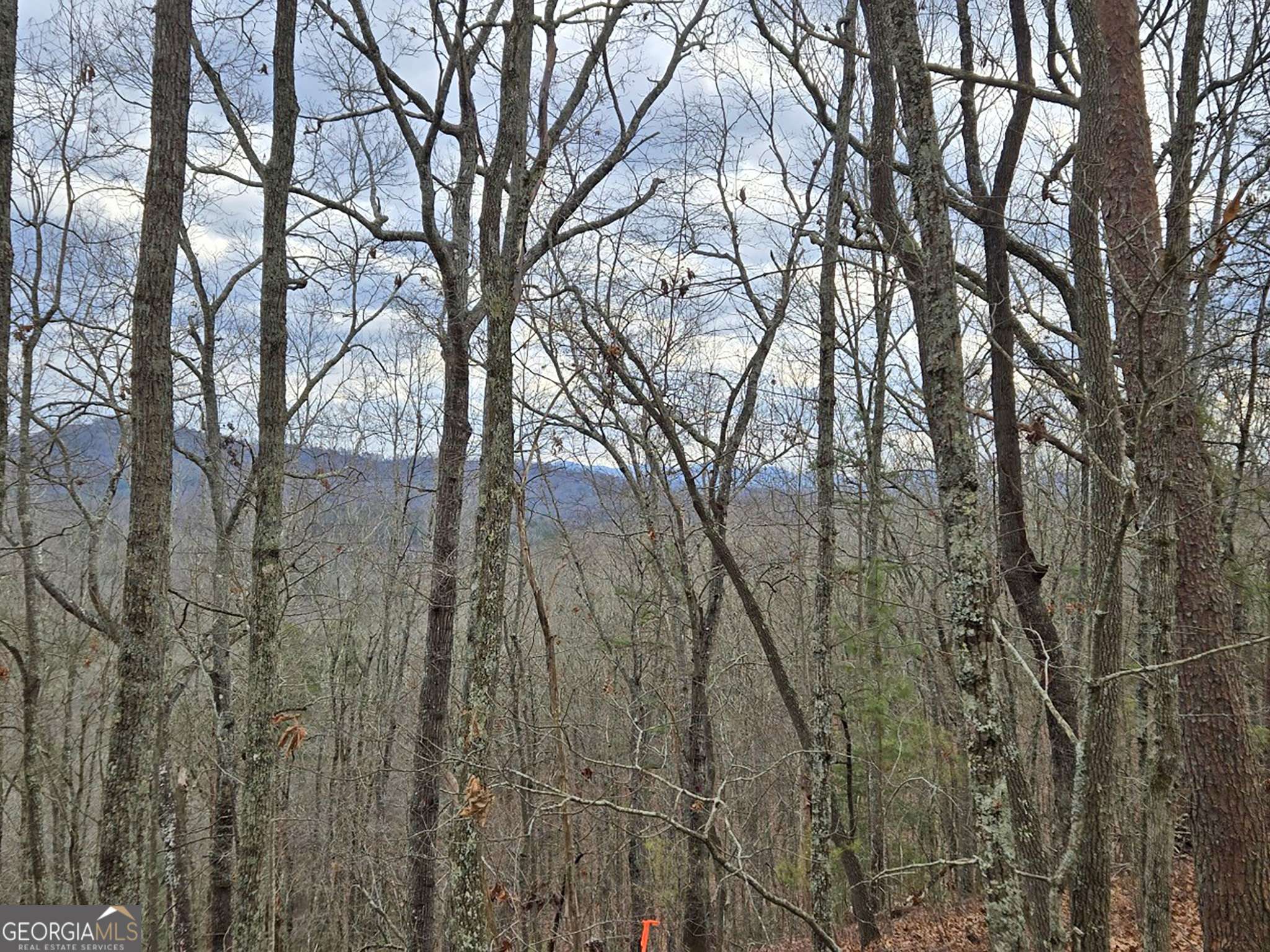 Mineral Bluff, GA 30559,2370 Humphrey Mill RD