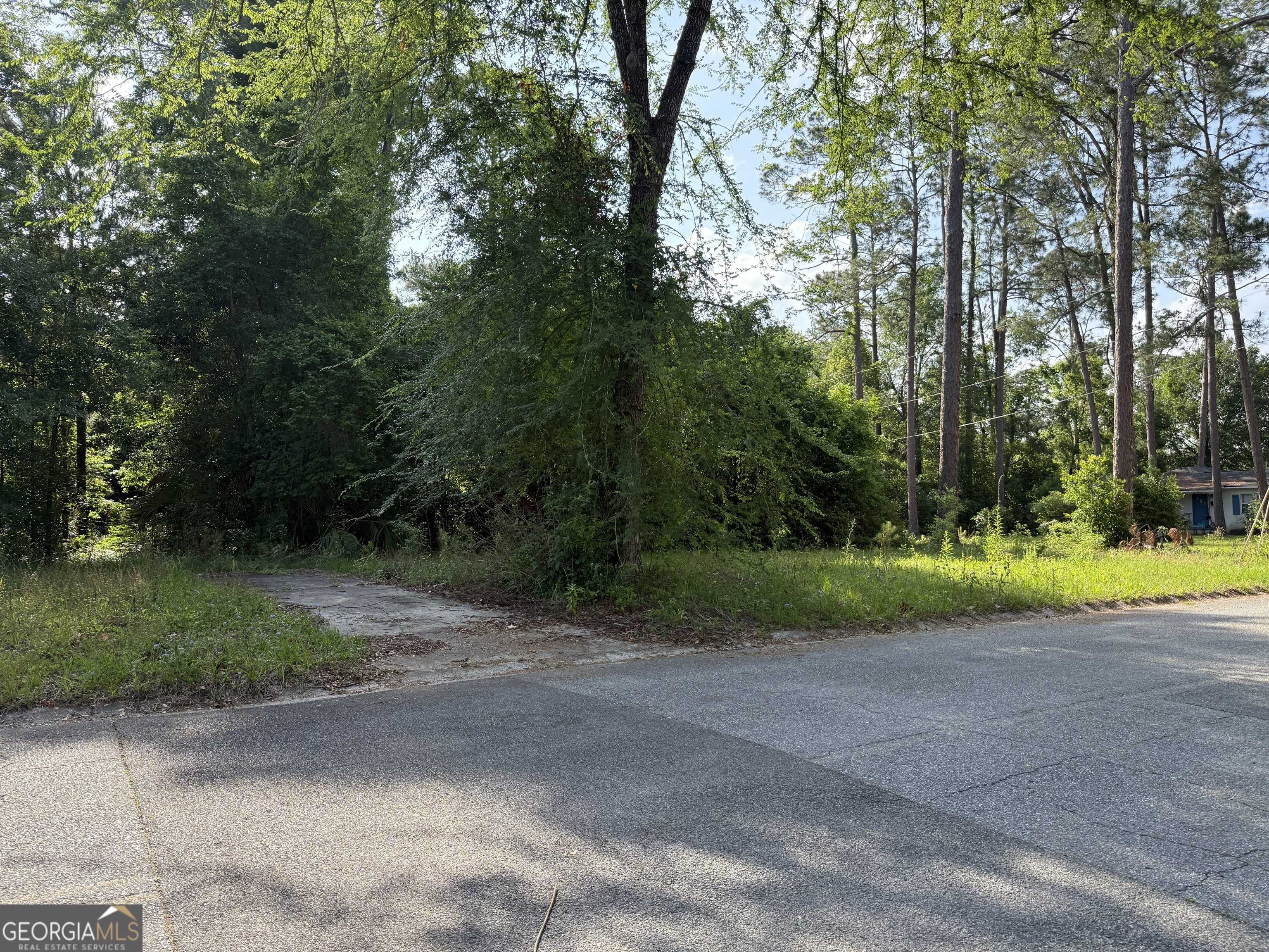 Waycross, GA 31501,1102 Saint Marys DR