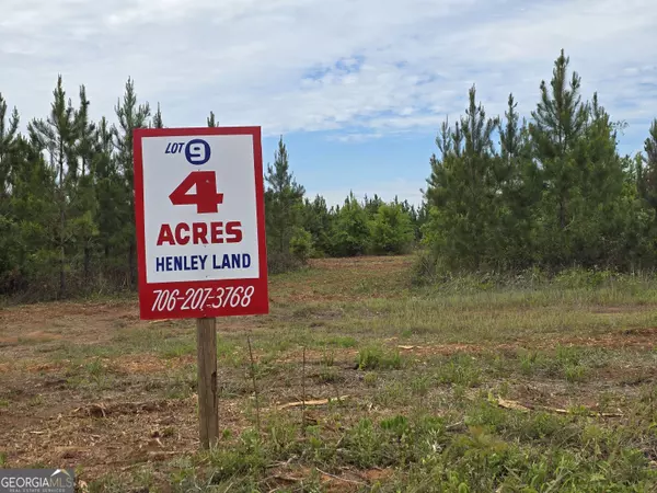 09 Marvin Murphy Road, Ellaville, GA 31806