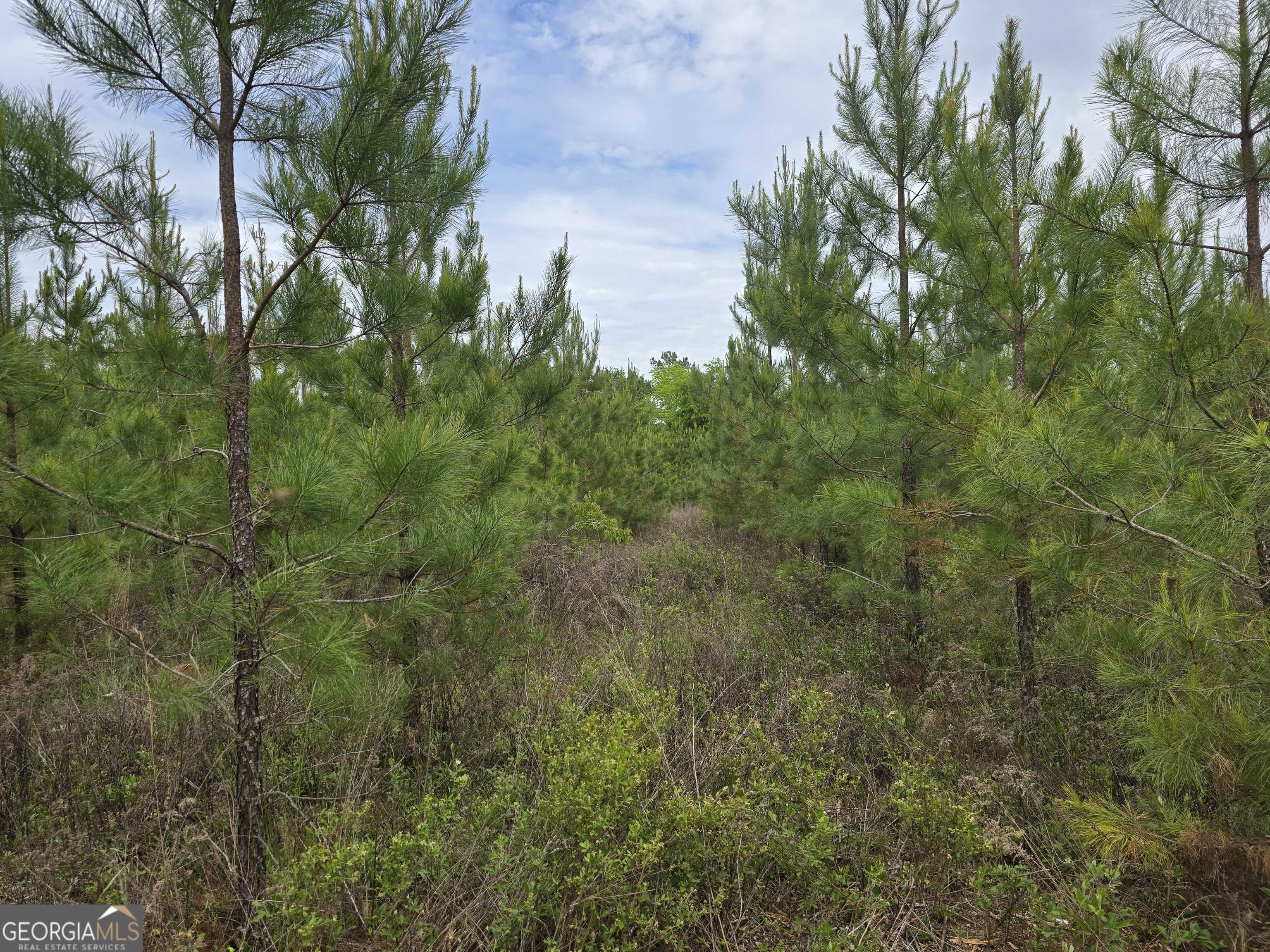 Ellaville, GA 31806,09 Marvin Murphy Road