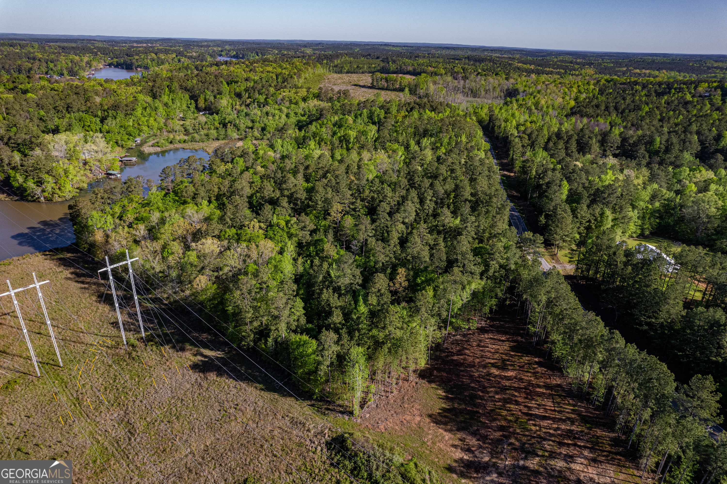 Sparta, GA 31087,287 Lake Sinclair DR