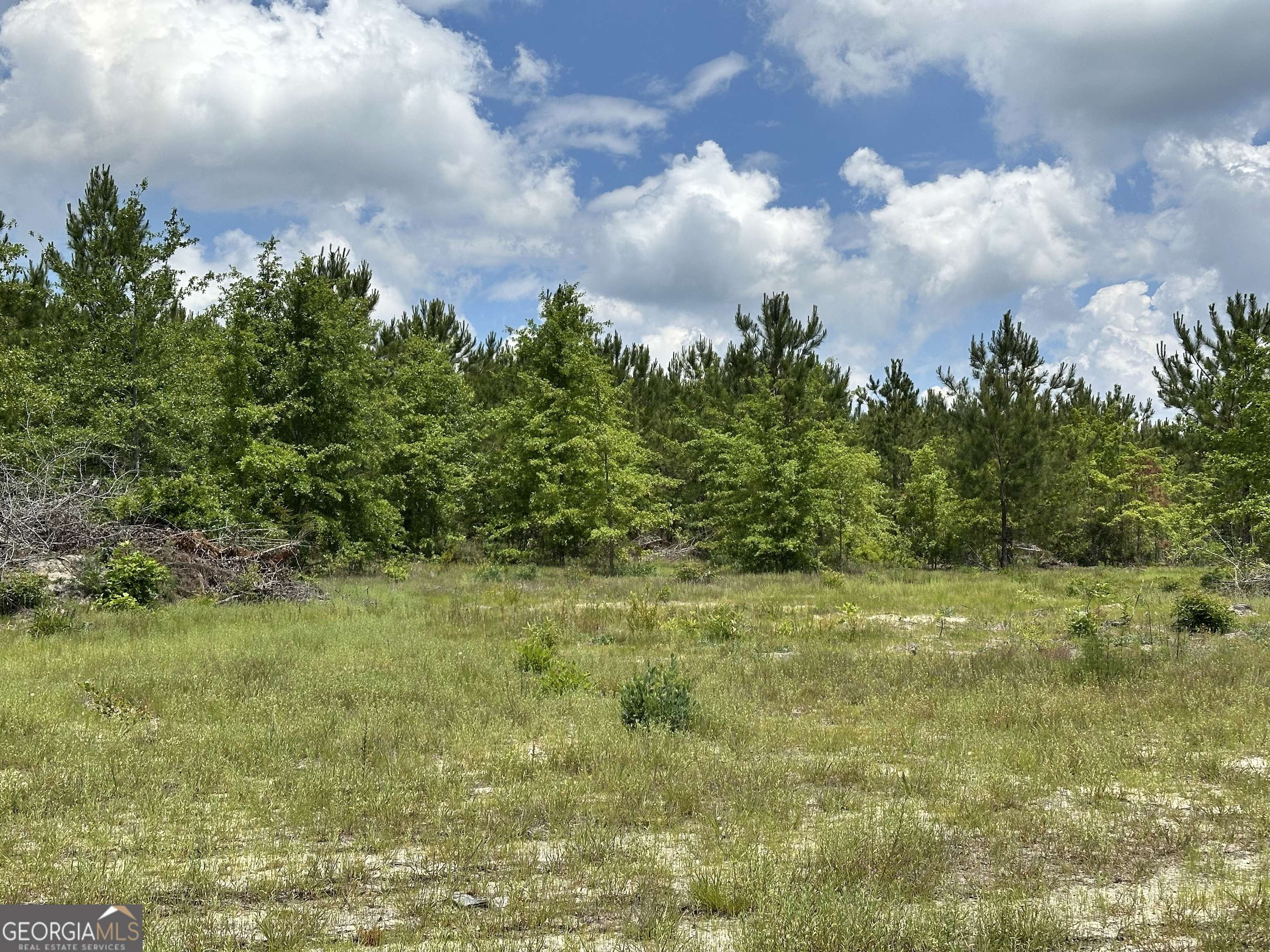 Dublin, GA 31021,LOT 7.5 Highway 19