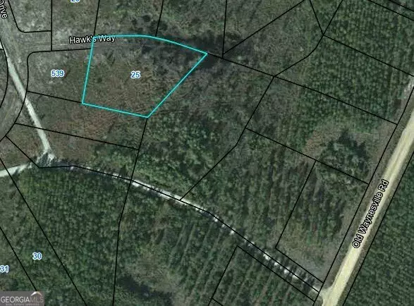 LOT 25 Hawks WAY, Waynesville, GA 31566