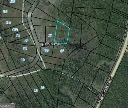 Waynesville, GA 31566,LOT 20 Hawks WAY