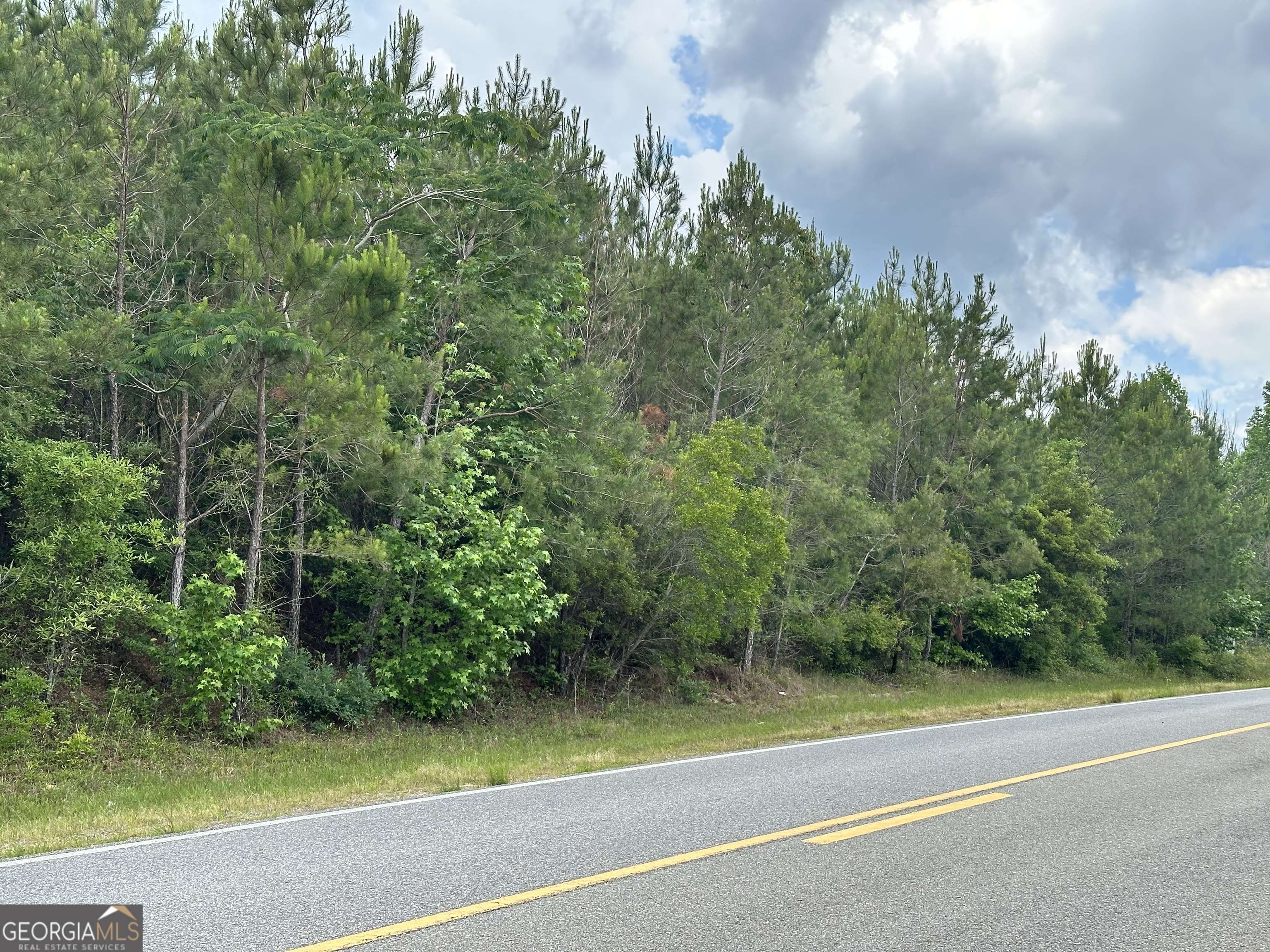 Dublin, GA 31021,LOT 25 Rock Springs Road
