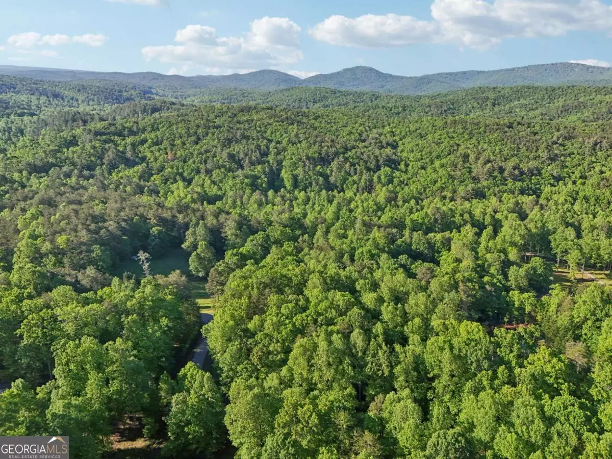 Dawsonville, GA 30534,43 Smith CIR