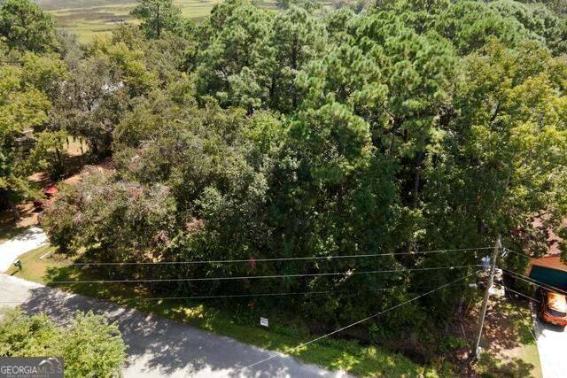 St. Marys, GA 31558,LOT 1B Dufour RD