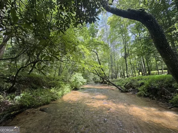 Ellijay, GA 30540,511 Walker RDG