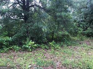 Tallapoosa, GA 30176,151 W Mill