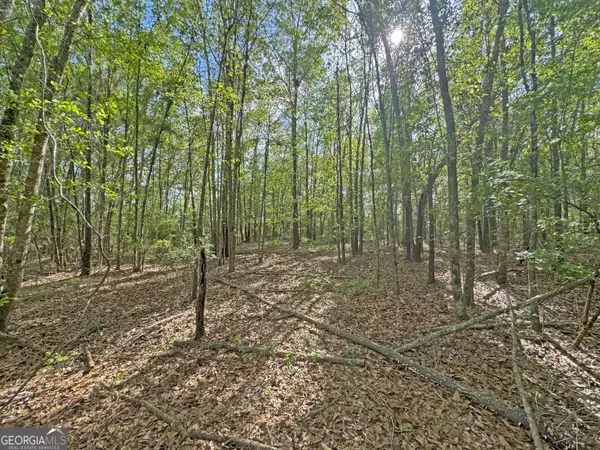 Climax, GA 39834,TBD3 Cumbie RD