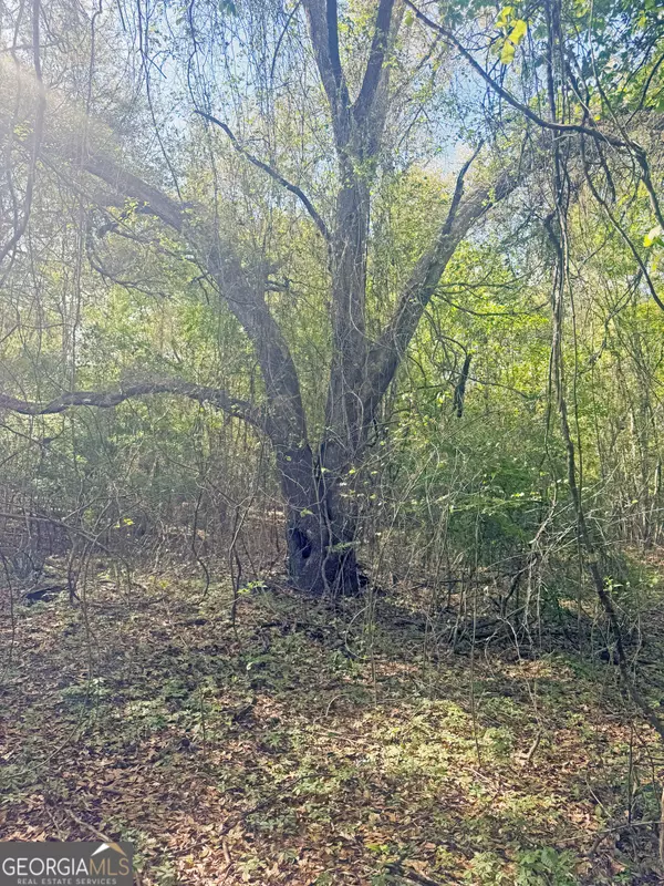 Climax, GA 39834,TBD3 Cumbie RD