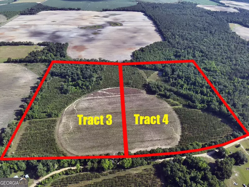 TBD3 Cumbie RD, Climax, GA 39834