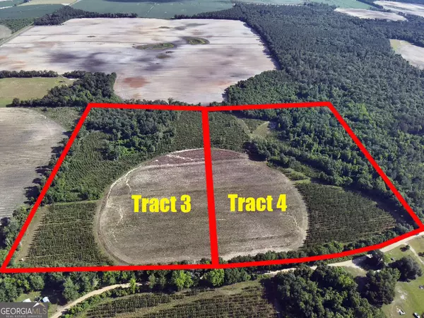 TBD4 Cumbie RD, Climax, GA 39834